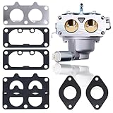 Carburetor Compatible with John Deere D125 D130 D140 D150 D170 LA135 LA145 LA155 LA165 Tractor with Gasket Replace 795967.