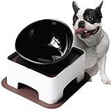 Umisun Ceramic Bulldog Bowl Dog Feeding Bowl - Dog Dish Wide Mouth Pet Sterile Tilted Pet Feeder with Anti-Skid Rubber Mat for Small Medium Dogs (Black)