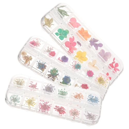 Toyvian 3 Boîtes Compartiments de Fleurs Séchées Naturelles pour Artisanat DIY Résine Époxy, Ornement Solide Carnet ou Décoration de Savonnette