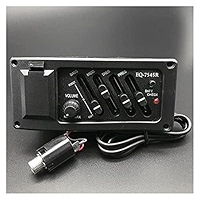 【Singer】Acoustic Imagine Series P01 IMAGINE 01 SERIES – SINGER GUITARS