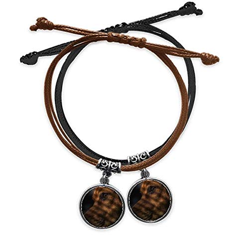 Bracelet Chien et photo en cuir double pour rompre la solitude loin de votre animal