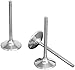 Wiseco VIT043 Titanium Intake Valve