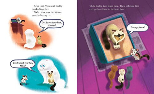 Yoda Gets a Buddy - Image 5