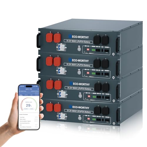 ECO-WORTHY 48V 200Ah LiFePO4 Rack Battery 10.24kWh