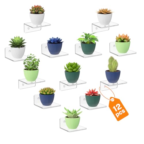 LASZOLA 12 Pack Small Acrylic Wall Mount Plant Shelves for Indoor, Window Floating Planter Holder Stand for Kitchen Bedroom Living Room, Clear Wall Creative Decorative Rack for Multiple Flower Display