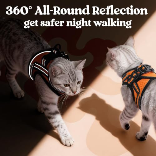 Image of rabbitgoo Cat Harness and Leash Set, Step-in Soft Vest, Orange | Escape Proof, Lightweight, Easy-on & Adjustable, Hook & Loop with Buckle, Reflective, for Small Cats Walks, L