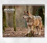 Calendrier mural 2026 : calendrier mural mensuel avec notes, format A4, avec dates clés et jours fériés