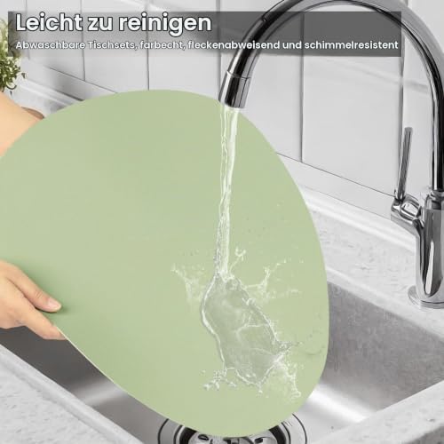 YIHELU Tischset Abwaschbar&Untersetzer,Doppelseitige Oval Platzsets 6er Set – Ansicht 6