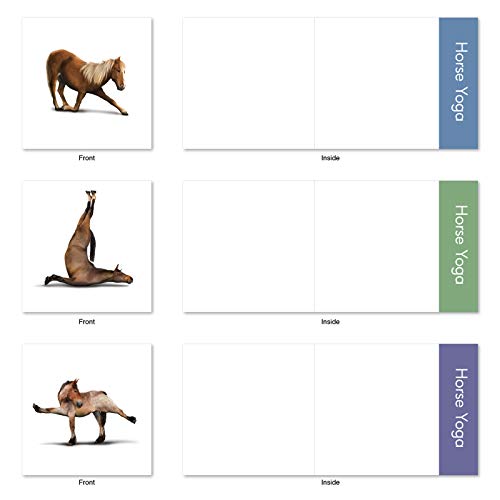 The Best Card Company - 10 Blank Yoga Note Cards (4X 5.12 Inch) - Boxed Notecards With Envelopes, Cute Animal Cards, Zen Assortment - Horse Yoga Mq4171Ocb-B1X10 #TOP1
