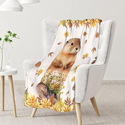 Groundhog Throw Blanket - Soft, Fuzzy & Warm - 50x60 Inches Flannel Blankets for Living Room, Sofa - Beige Cute Throws Gift for Teens