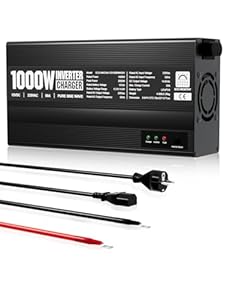 ECO-WORTHY 14, 6V 50A LiFePO4 Ladegerät mit 1000W Wechselrichter 12V auf 230V, Netzvorrangschaltung und USV Funktion, für LiFePO4 Deep Cycle Batterie, KFZ, LKW, PKW