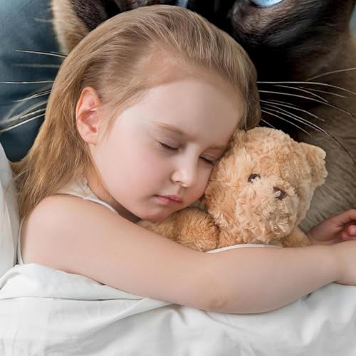 Housse de coussin chat velours 50x50 cm lot de 2