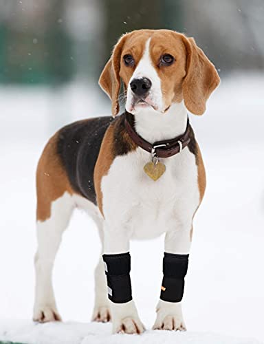 Neoally - Front Leg Brace For Dogs And Cats, Dog Leg Brace For Improved Pet Mobility, Dog Leg Sleeve For Carpal Support, Dog Leg Sleeve With Reflective Straps, Large To Xl, Blue, 1 Pair #TOP4