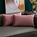softpoint Fundas de cojín de terciopelo rosa de 30 cm x 50 cm, fundas de almohada decorativas suaves de 12 x 20 pulgadas, para sofá, cama, sofá, paquete de 2 (rosa, 12 x 20)