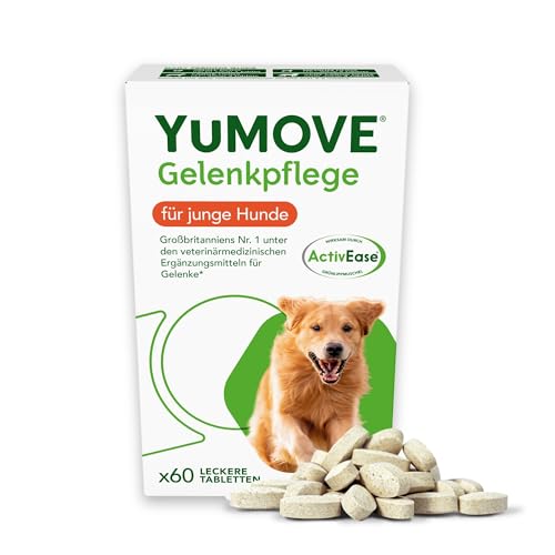 YuMOVE Gelenktabletten Hund Bis 5 Jahre 60 Stück - Patent Angemeldet ActivEase Grünlippmuschel Hund & Glucosamin Junge Hunde - Frühzeitige Unterstützung Gelenke & Beweglichkeit - Hunde Gelenktabletten