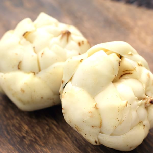 Amazon.co.jp: 北海道産 ゆり根 2kg (共撰/2L-3Lサイズ/8個～13個入り