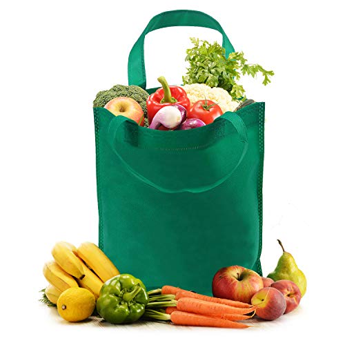 Aneco 24 Pieces 13.5 By 13.5 Inches Non-Woven Bags Party Treat Bags Bottom Goodie Bag With Handles Rainbow Colors For Party Favor #TOP4