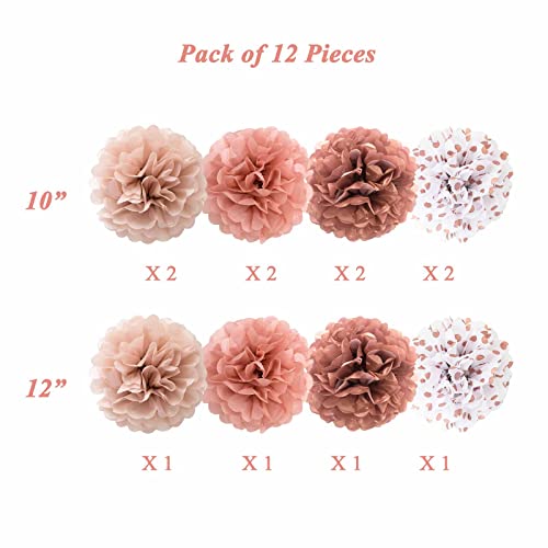 Ansomo Rose Gold Tissue Paper Pom Poms Flowers Dusty Pink Coral Polka Dot Wall Hanging Wedding Birthday Bridal Baby Shower Party Decorations 12" 10" Pack Of 12 #TOP2