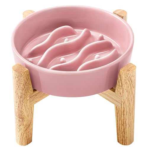 Ceramic Slow Feeder Dog Bowls Elevated, 0.6 Cup Dog Slow