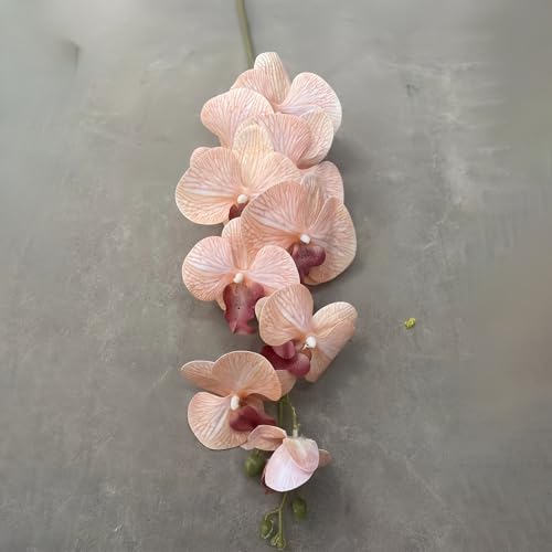 BDHD IWi  u[P ͂Ȃ Flower Ȃ̉ ft@  A[eBtBVt[ ϗtA CeA  H̐F H ̓ v[g _A gt p [J (A03)