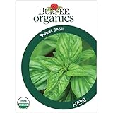 Burpee Organic Sweet Basil Seeds - All-Purpose Fragrant Culinary Herb