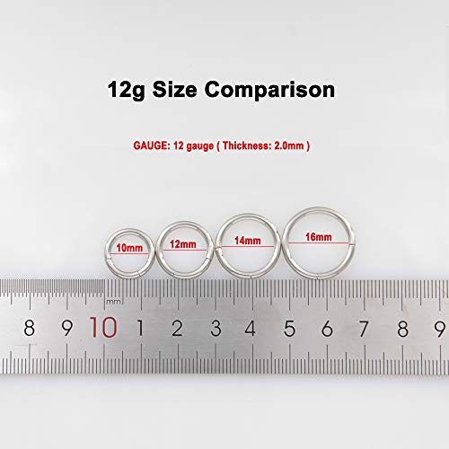 Image of FANSING Men Women 316L Surgical Steel Hinged Nose Rings Hoop for Nostril Septum Cartilage Helix Daith Tragus Rook Conch Lip Ear Lobe Piercings