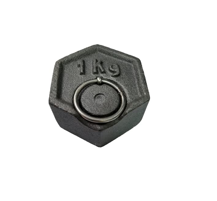 Peso In Ghisa Esagonale FORNOSERVICE | GR 500 Per Bilance Da Banco E Tavolo | Con Anello Di Presa | Ideale Per Panificazione E Laboratori