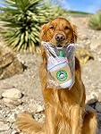 Nestpark Parody Star Poupes Coffee Dog Toy Pup'kin Spice Latte - Jouets de chien en peluche amusante Squeaky Crinkle pour l'anniversaire de chien moyen, petit et grand