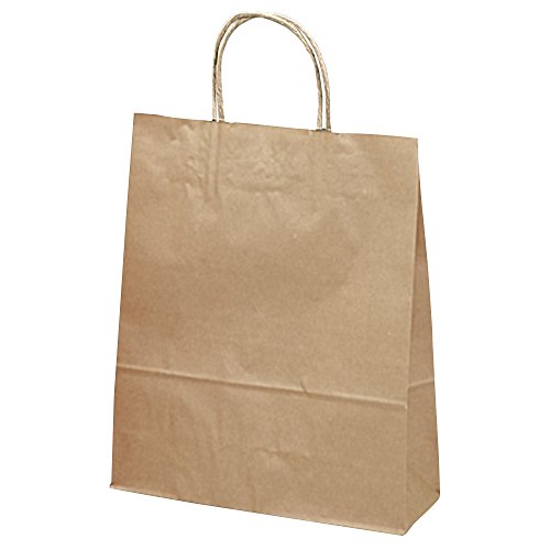 タカ印 ギフトバッグ 50-5101 手提げ 未晒無地 小 50枚