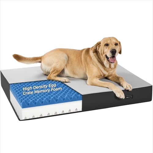 5 Inch Thick Orthopedic Dog Bed - image 1