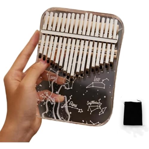 AN 17 JoS҃Zbg ewsAm yE[P[Xt yty piN[[VEXgXEywKj q`l MtgΉ (21)