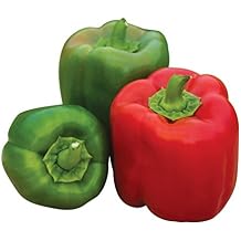 Burpee Sweet Candy Apple Hybrid Bell Pepper Seeds Sweet Red Pepper Seeds for Home Garden Growing