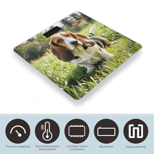 Báscula digital con diseño Basset Hound y vidrio templado miniatura 3