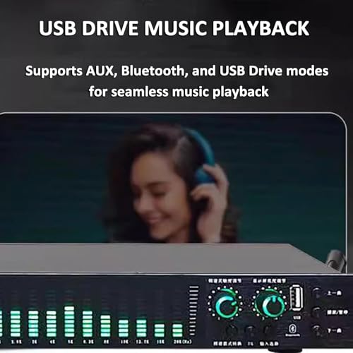 Ecualizador digital gráfico estéreo de 31 bandas, con 21 efectos preestablecidos, ajuste de graves/agudos/medios, reducción automática de ruido, montaje en rack 1U, para estudio de grabación miniatura 6