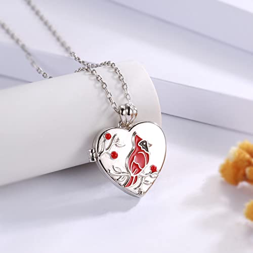MANBU Sterling Silver Cardinal Jewelry for Women - Red Bird Stud Earrings Pendant Locket Necklace Bracelet Always In My Heart Memorial Jewelry Gift4