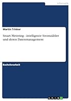 Smart Metering - Intelligente Stromzahler Und Deren Datenmanagement 3656414580 Book Cover