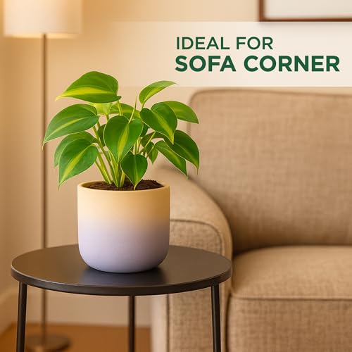 Image of Urban Plant Terracotta Pot - Trendy Planter for Modern Home & Garden Spaces (Gala Gradient Terracotta Pot - Pink)
