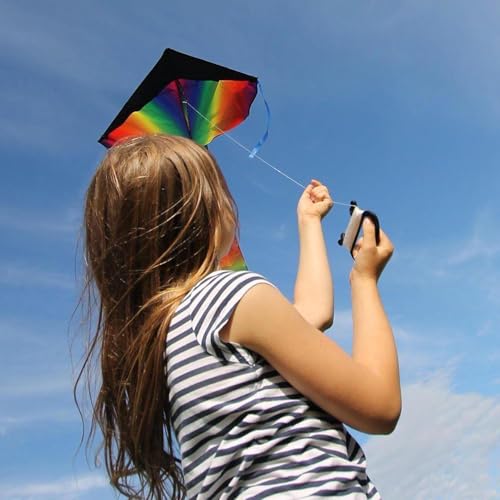 100m Drachenschnur Reißfest Schwarz,Drachenschnur Spule Mit Wickelbrett,Durable Drachen Leine Mit Reel,Flugdrachen Faltschnur für Outdoor Sport,Drachen String für Familien,Gruppenaktivitäten