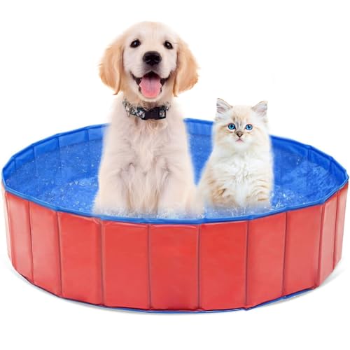 Piscina per Animali Domestici Pieghevole 60 x 20 cm
