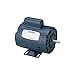 LEESON General-Purpose Electric Motor - 1/3 HP, Model# 100006.00