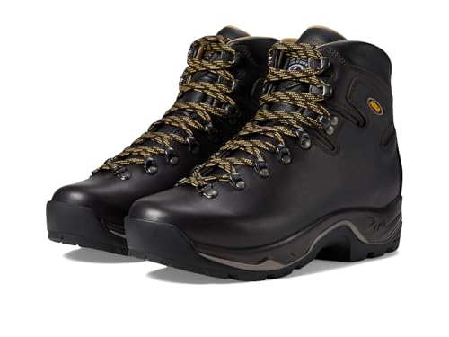 Asolo Men's TPS 535 LTH V MW Evo Backpacking Boot, Brown, 10 Wide