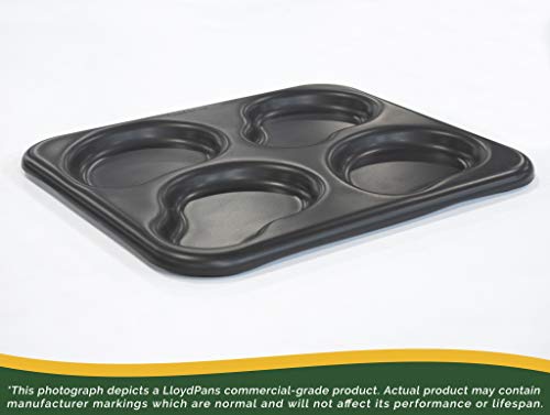 LloydPans Egg Pan, 9.5 x 11 Inch 4-Cavity Irregular Egg Pan, Pre-Seasoned PSTK