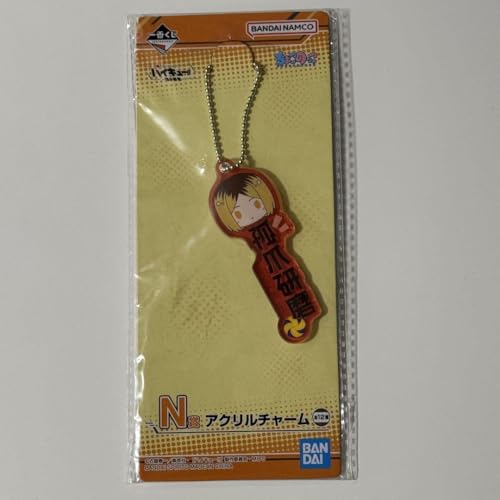 一番くじ ハイキュー!! 頂の景色 N賞 アクリルチャーム 孤爪研磨