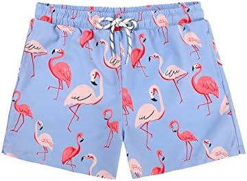Century Star Boys Swim Trunks Toddler swim shorts Kids Bathing Suit Quick Dry swimswear Baby Boy Swimsuit Flamingo 2T