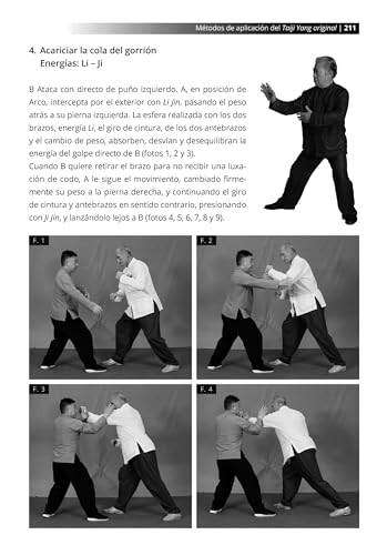 Miniatura 5 de Métodos De Aplicación Del Taiji Yang Original