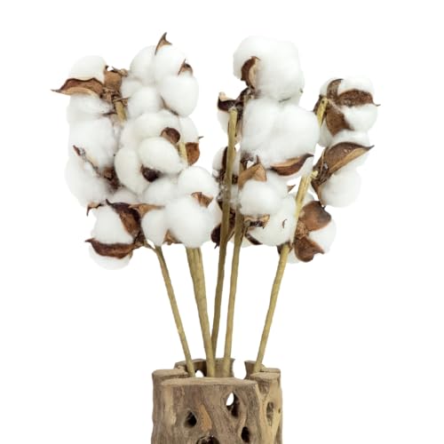 SuperMoss Cotton Stems Proflora All Natural Dried 3 Ball 18pcs 14.5 Cotton Sprigs for Home Decor Wedding Decor Farmhouse Wall Decor Vase Filler and Floral Arrangements 6 Pack (99998)