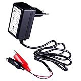 Large application : convient à toutes les batteries au plomb acide de 12 V, y compris SLA, EFB, GEL, AGM, etc., telles que voitures pour enfants véhicules, jouet, motos, SUV, ATV, etc.