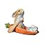 Affection Rabbit