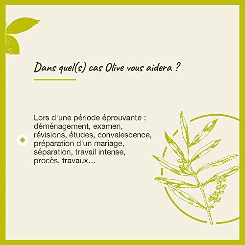 Bach olive n° 23 20ml