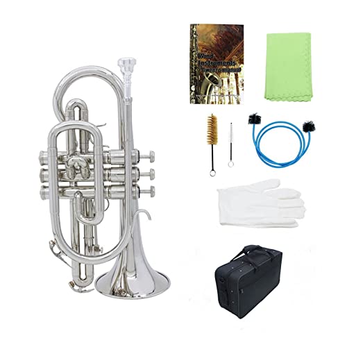 gybg S vtFbVi Rlbg ^Jy L[P[Xt  N[jO NX uV Bb tbg Rlbg gybgZbg(J[: Vo[)